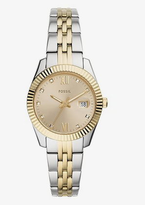 Scarlette Mini Three-Hand Date Two-Tone Stainless Steel Watch