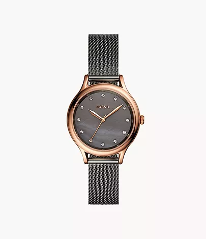 Laney Three-Hand Smoke Stainless Steel Watch
